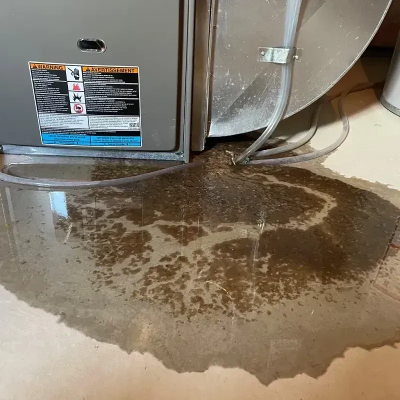 Appliance Leak Cleanup in Shelby, AL